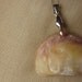 Engraved by the Ocean Peach and Ivory Shell Pendant with Soft Pink and Bordeaux Seed Pearls