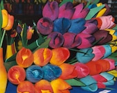 Bright, Vivid, Wooden Tulips, Flowers Still Life, Fine Art Photography 4x4 on 8x8 Paper - LoudWaterfallPhoto