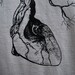 Anatomical Heart tree print on Organic Cotton Shirt -  Mens Extra Large / XL