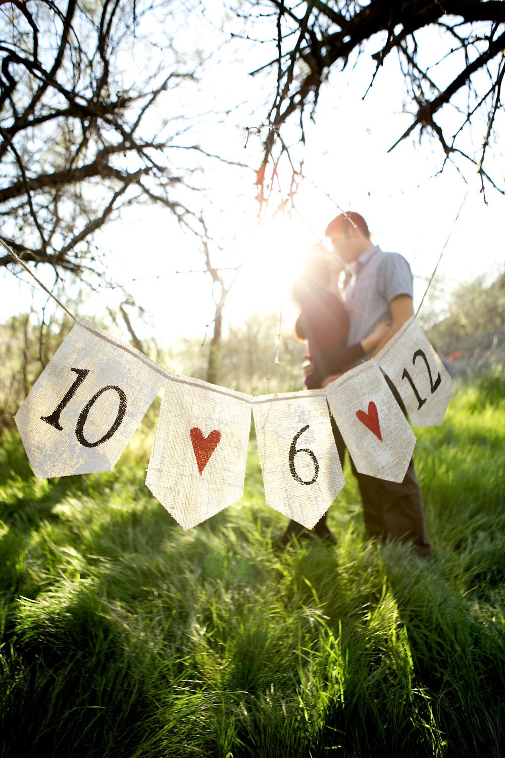 Save the Date Banner Engagement photo props - SAVE the DATE BANNER