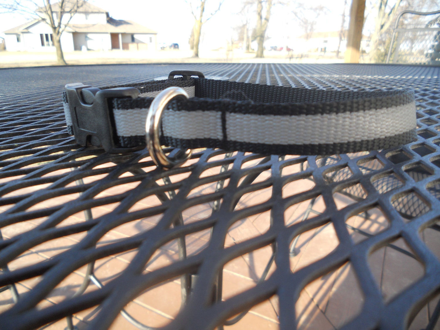Black with Gray Reflective Stripe Nylon Dog Collar (size Small)