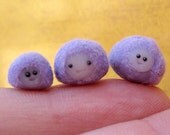 Purple Pygmy Puff Family: Super cute and ready to be adopted