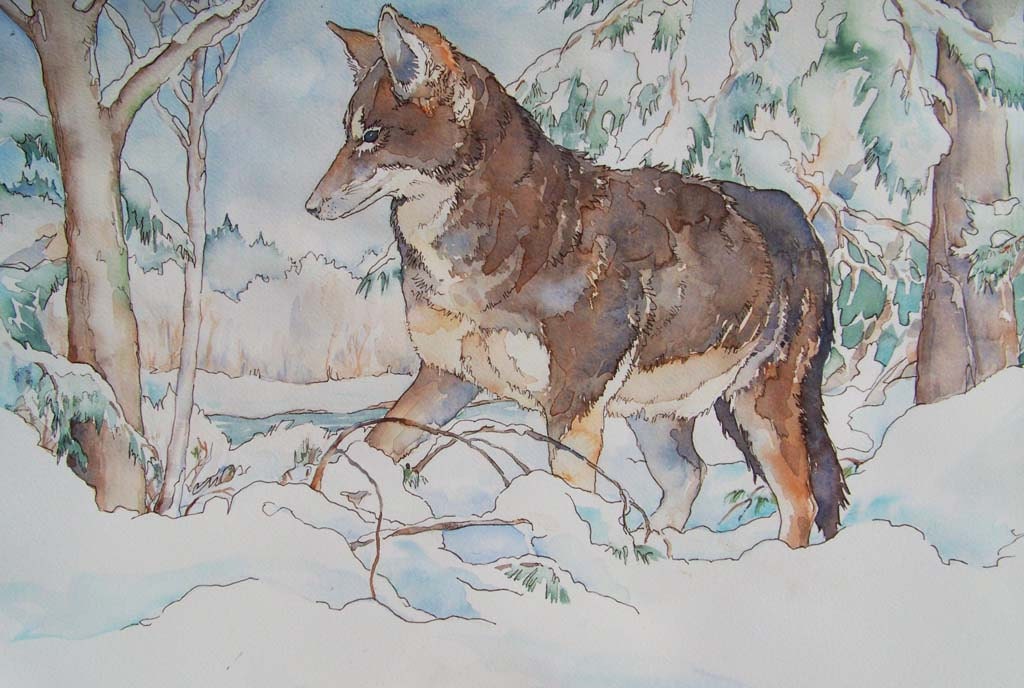 Coyote in Winter - original watercolor in tan, grey, green and white