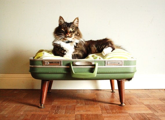 Cozy Cargo Suitcase Pet Bed - Green and Brown  - Upcycled Luggage - Free Shipping