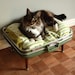 Cozy Cargo Suitcase Pet Bed - Green and Brown  - Upcycled Luggage - Free Shipping