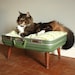 Cozy Cargo Suitcase Pet Bed - Green and Brown  - Upcycled Luggage - Free Shipping