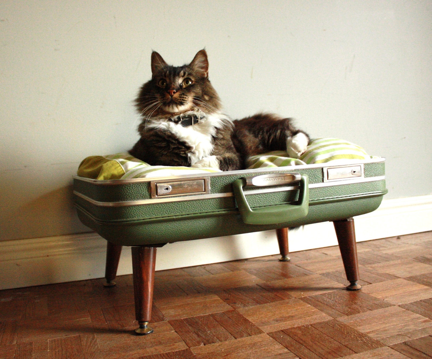Cozy Cargo Suitcase Pet Bed - Green and Brown  - Upcycled Luggage - Free Shipping