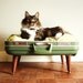 Cozy Cargo Suitcase Pet Bed - Green and Brown  - Upcycled Luggage - Free Shipping