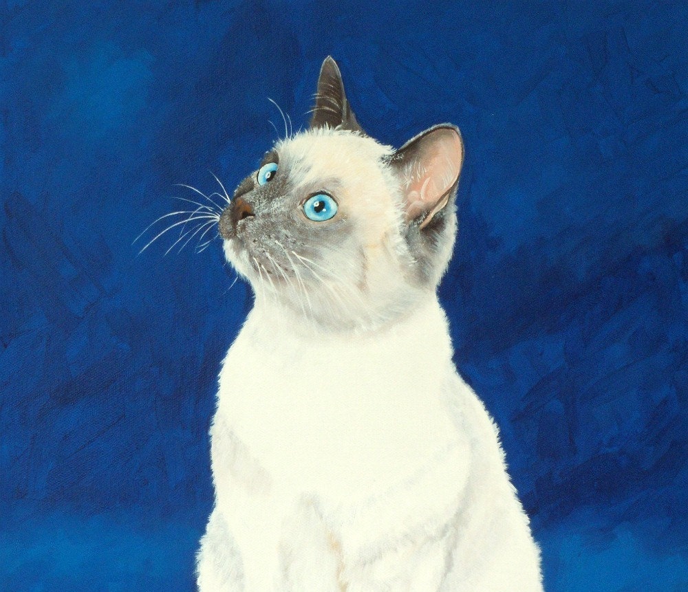 Custom cat portrait from your photo - hand painted 12x16 - siamese portrait