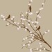 Modern Japanese magnolia branches wall decal with birds wall decals -