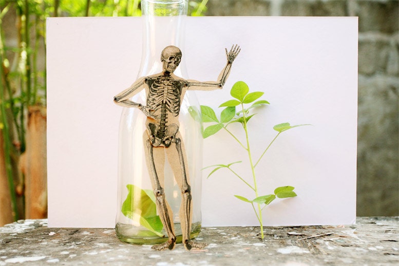 Skeleton - Articulated Paper Doll based on the vintage anatomic illustration. Kraft paper, hand painted, MADE TO ORDER.