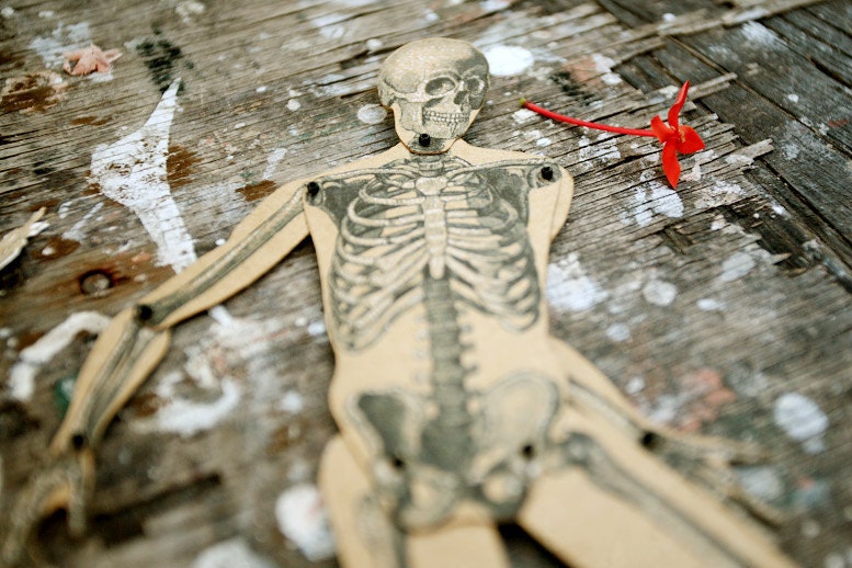 Skeleton - Articulated Paper Doll based on the vintage anatomic illustration. Kraft paper, hand painted, MADE TO ORDER.