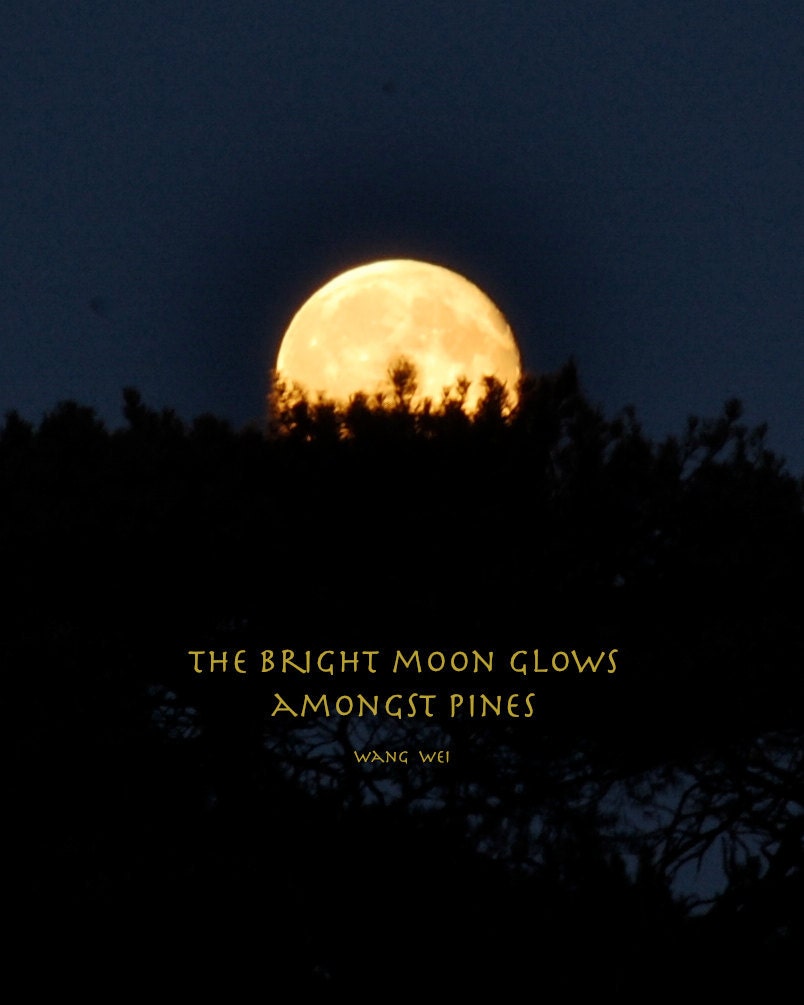 Bright Moon Amongst Pines, Moon photograph quotation, photo quote, 8 x 10 inches night sky, print with quotation
