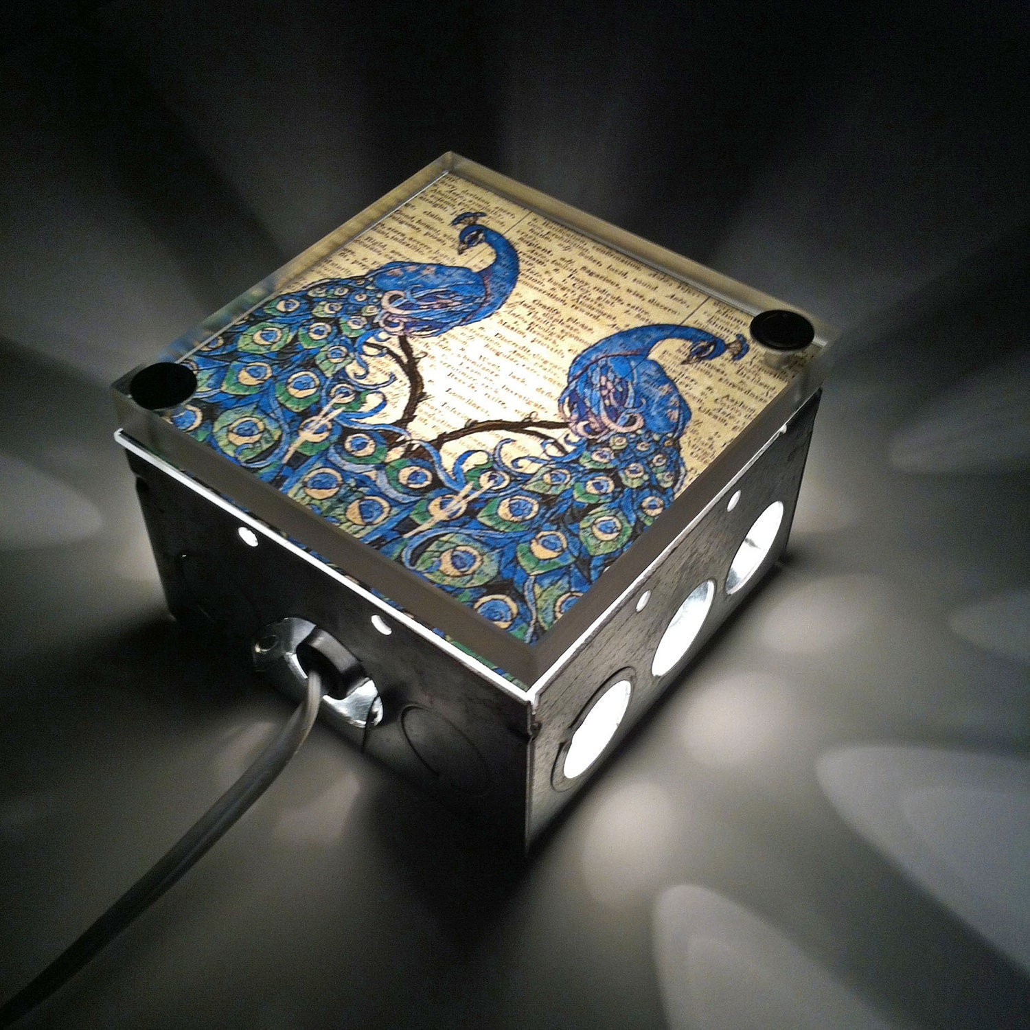 Peacock Repurposed Vintage Dictionary Print Design Light Box Night Light