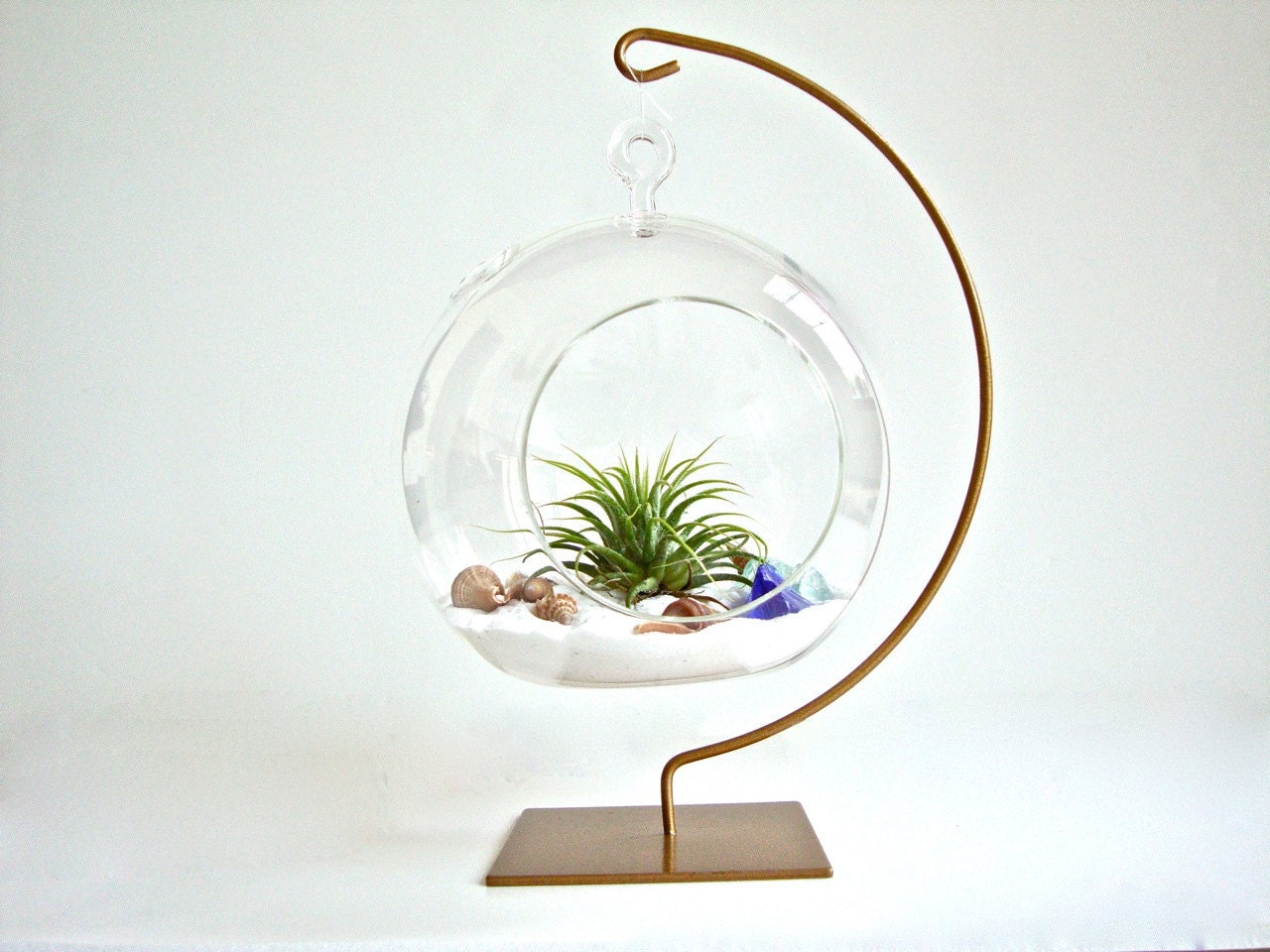 Hanging Glass Globe Air Plant Terrarium with Gold Painted Stand