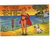 Vintage 1950s sexy humor Florida bathing suit cartoon postcard