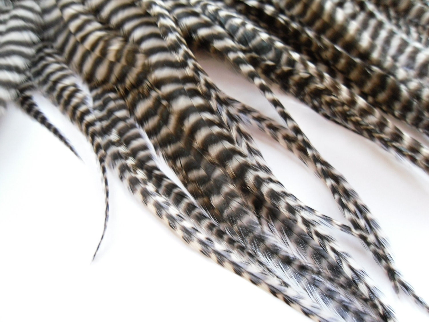 Thick Grizzly Feathers for Hair Extensions, Qty 3