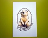 Animal Art Print // Prairie Dog - 4 x 6
