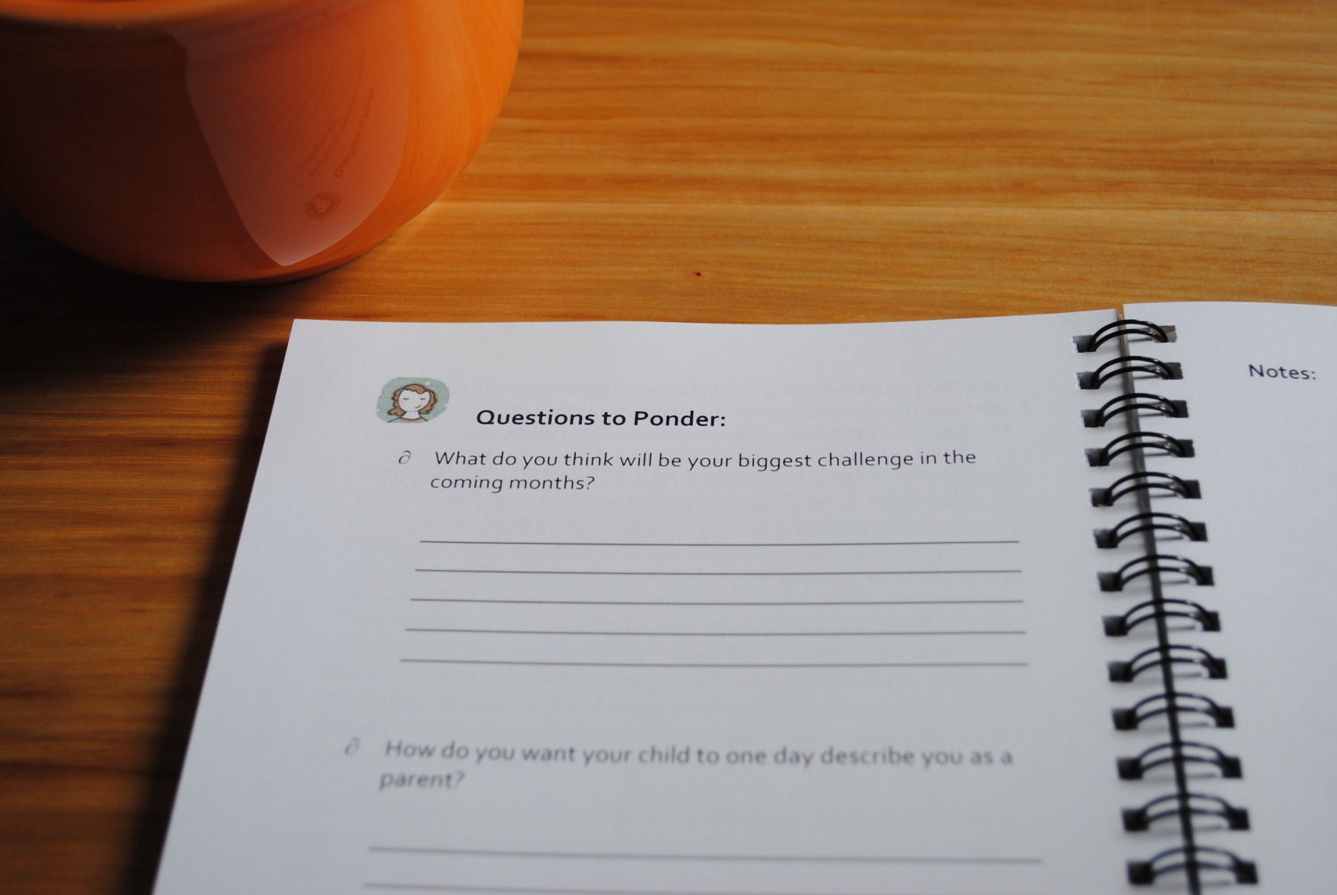 The Baby Planner (spiral-bound)