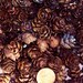 Tamarack Rose Pine Cones