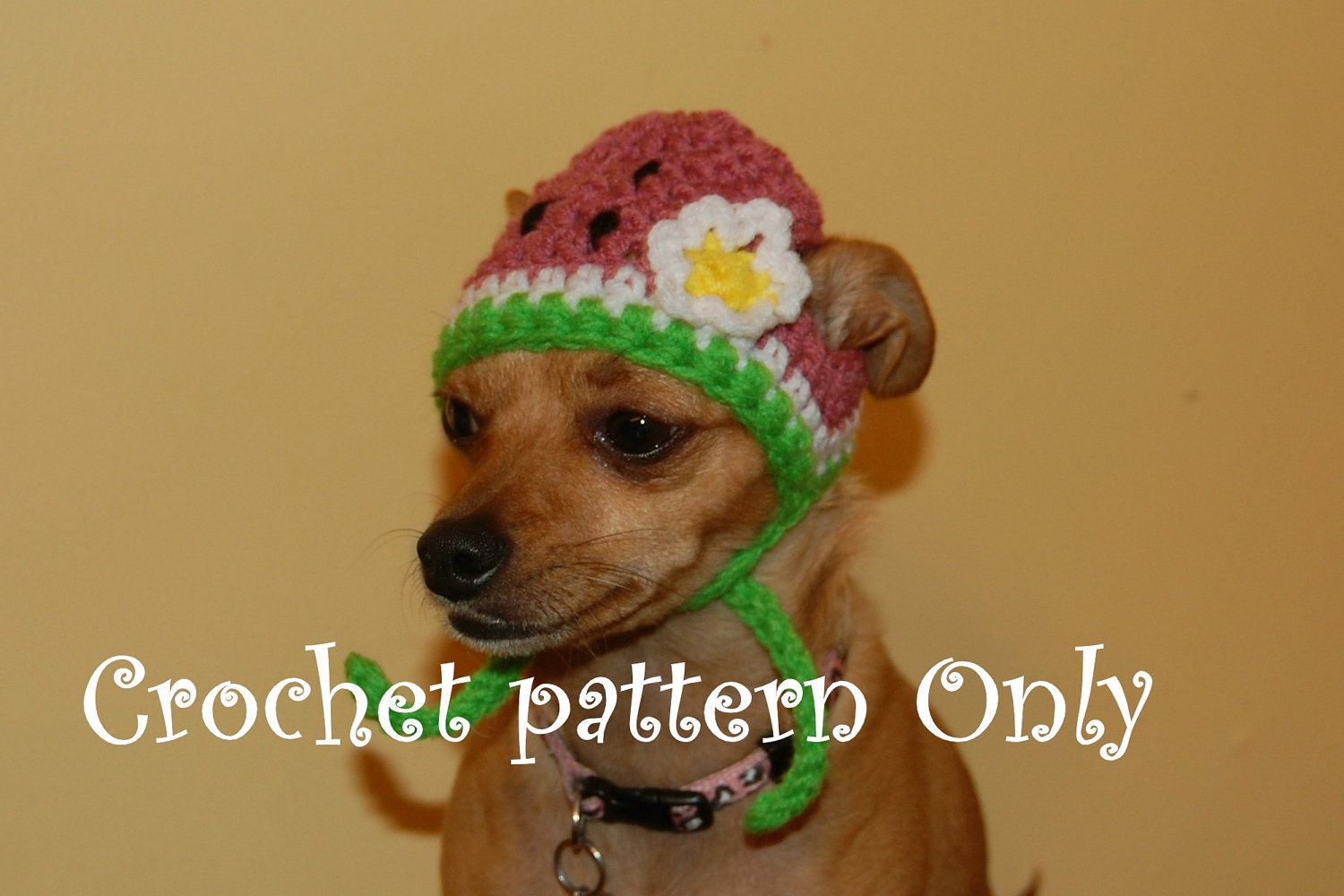 Instant Download Crochet Pattern - Watermelon Dog Hat - Small Dog Beanie