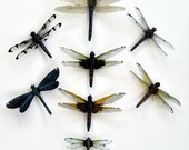 Dragonfly Magnets Clear wing Wholesale Lot of 8