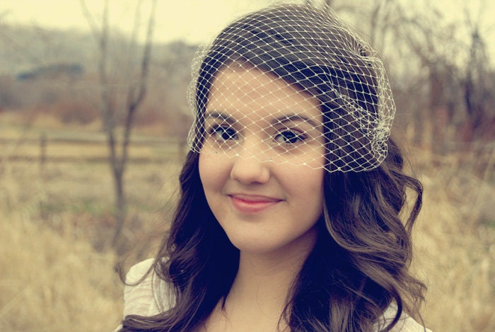 Ivory Birdcage Veil Bandeau Style Birdcage Veil with Swavorski Crystals White Birdcage Veil Black Birdcage Veil, Avery MADE TO ORDER