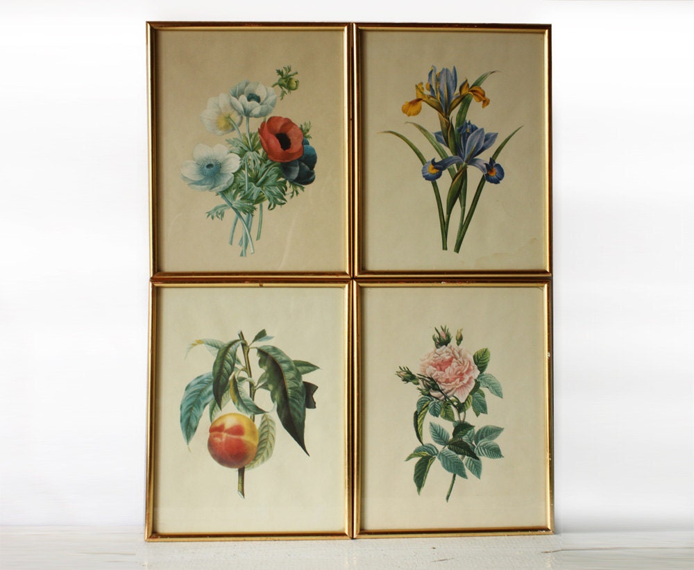 4 Beautiful  old FRENCH Original BOTANICAL Chromographs in vintage metal gold frame