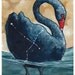 Cygnus the Swan - Constellation Fauna Series Fine Art Print 11" x 14"