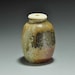 Shigaraki, anagama, ten-day anagama wood firing, with natural ash deposits tea caddy with ivory lid and clothes. chaire-32