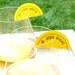LEMON WEDGE Wedding Name Cards // Escort Cards // Tags