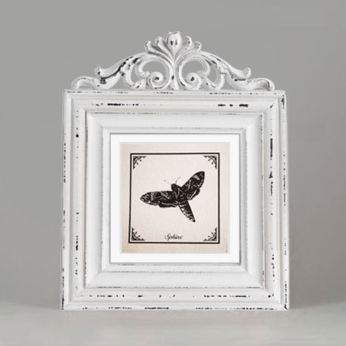 Pretty butterfly screen-printed