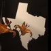 Texas Mirror