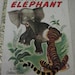 Book Vintage Little Golden Book "A Day in the Jungle" 1981 Edition Child Children Reading Books