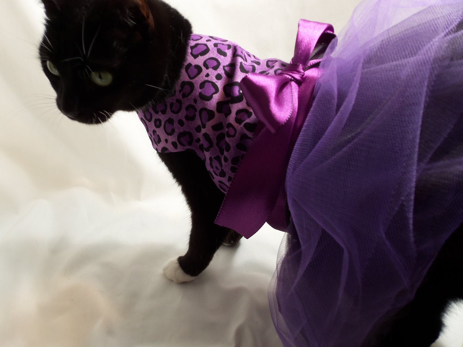 CoolCats Purple and Black Leopard Cat Tutu Dress