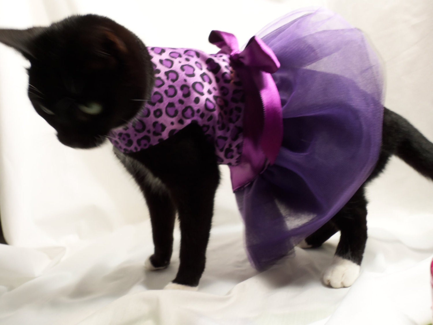 CoolCats Purple and Black Leopard Cat Tutu Dress