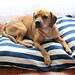 Dog Bed, Navy, Nautical, Beach, Blue, White, Modern, Large, Medium Dog