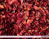 Scarflette with Button Hand Knit Oxblood, Plum, Gold and Brown