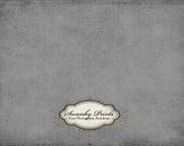 TRAVEL SIZE 4ft x 3ft Vinyl Photography Backdrop / Black Gray Texture