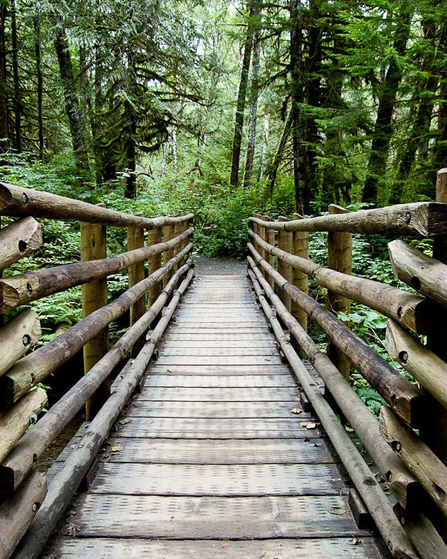 Wooden Bridge, Path to the Forest- 8 x 10 Fine Art Photography Print