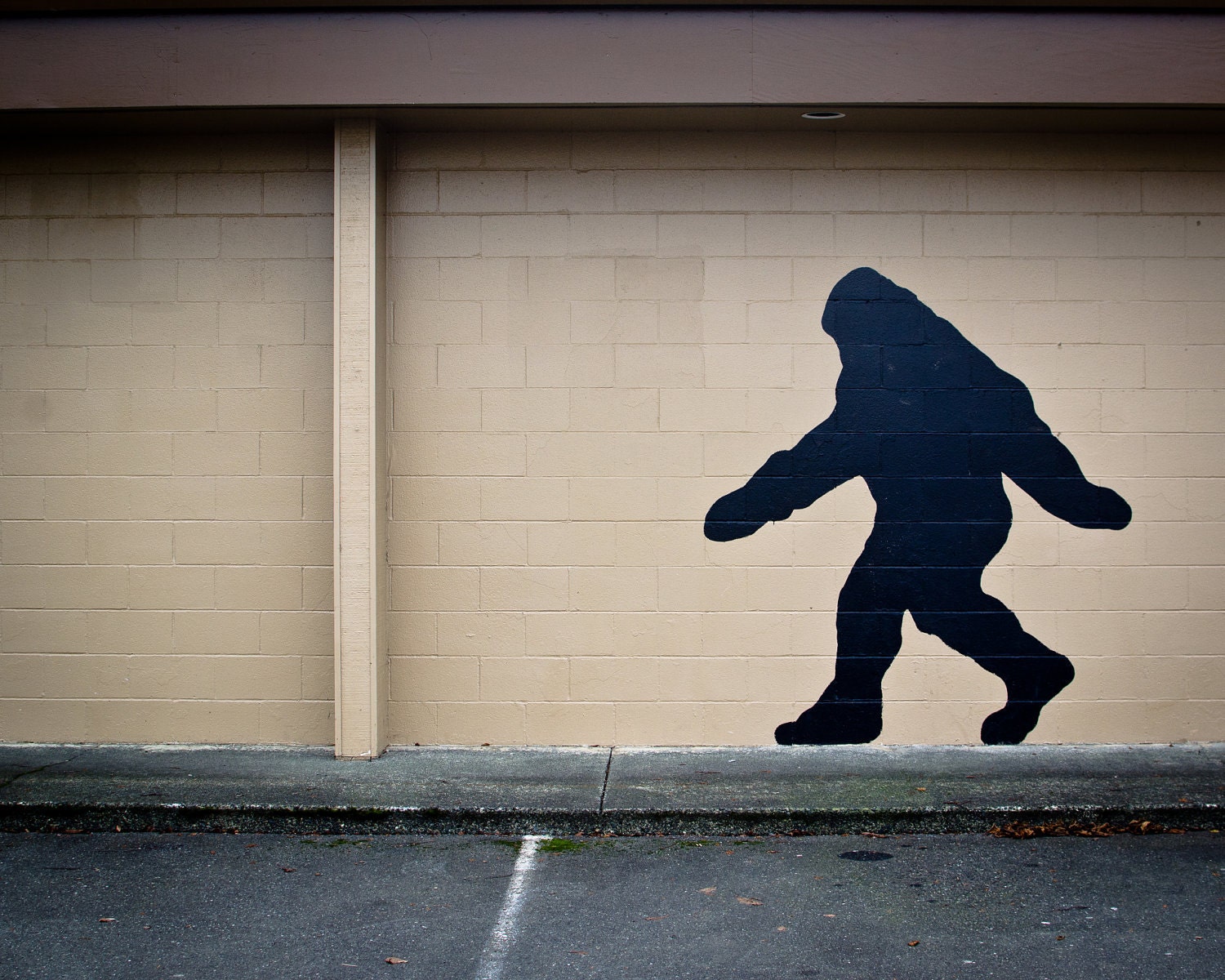 Bigfoot, Sasquatch Spotting 8 x 10 Photography