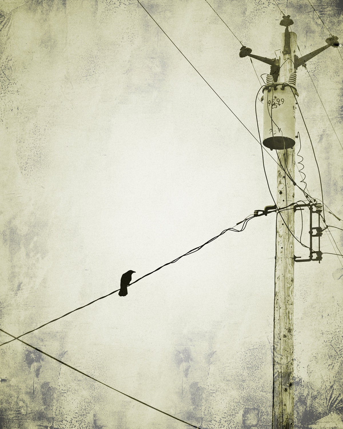 Hanging on a Wire- Crow Photography Art Print 8 x 10