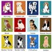Pug Dog Art  - fawn - custom dog portrait chevron art print, nursery art for boys childrens art
