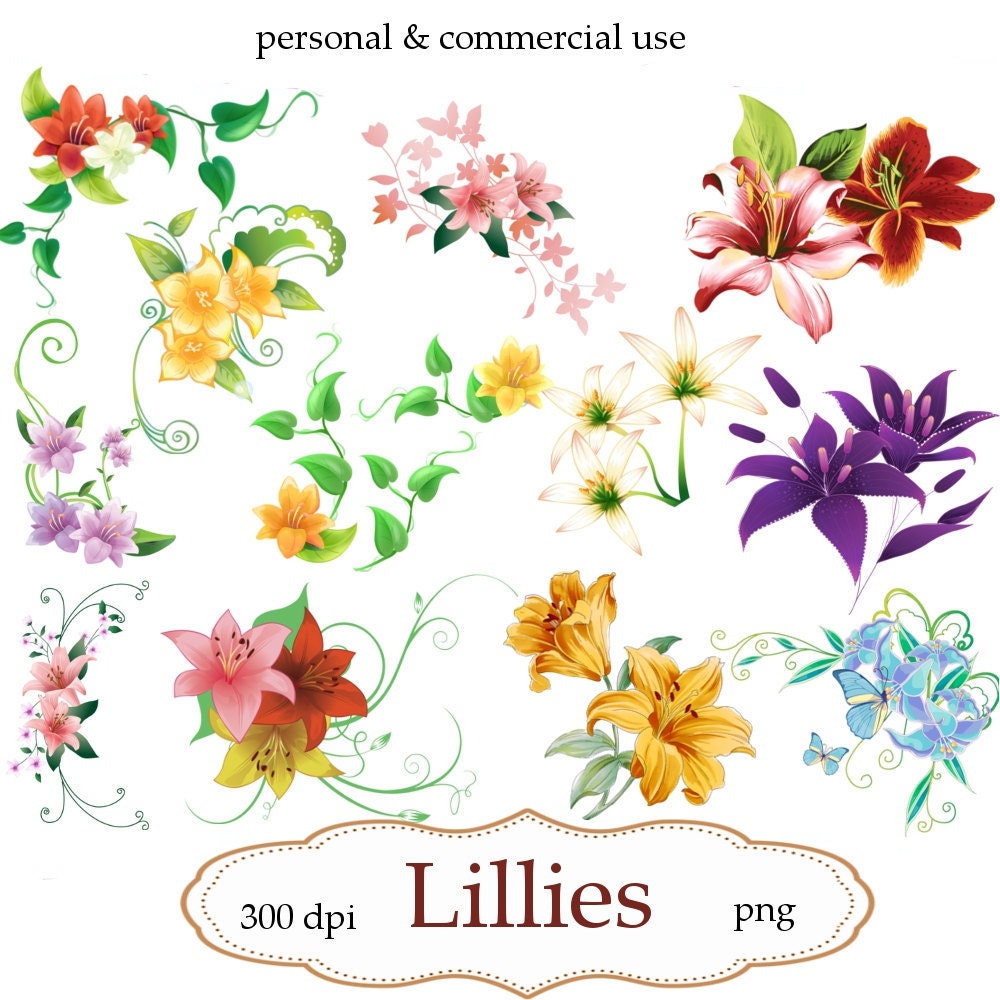 Clip Art:  Lillies   Png Digital Files no 084