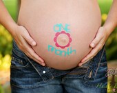 Fun and Unique "Monthly"  Baby Bump Pregnancy Stickers