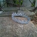 New Born Baby Boy Crown...Photo Prop...Photo Session...Newborn Baby Photos...