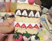 SALE Strawberry Shortcake Deco Case