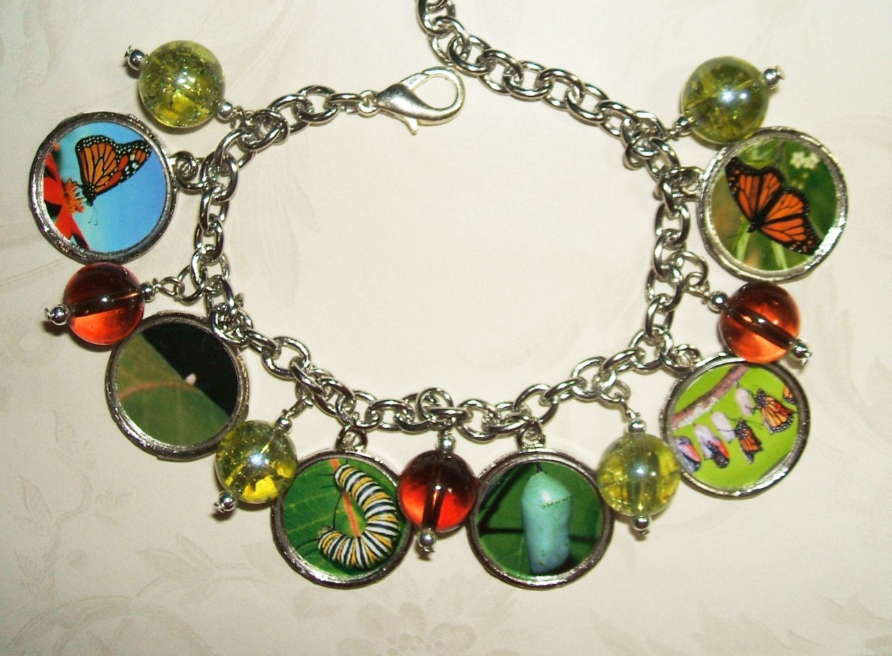 Butterfly Metamorphosis Stages