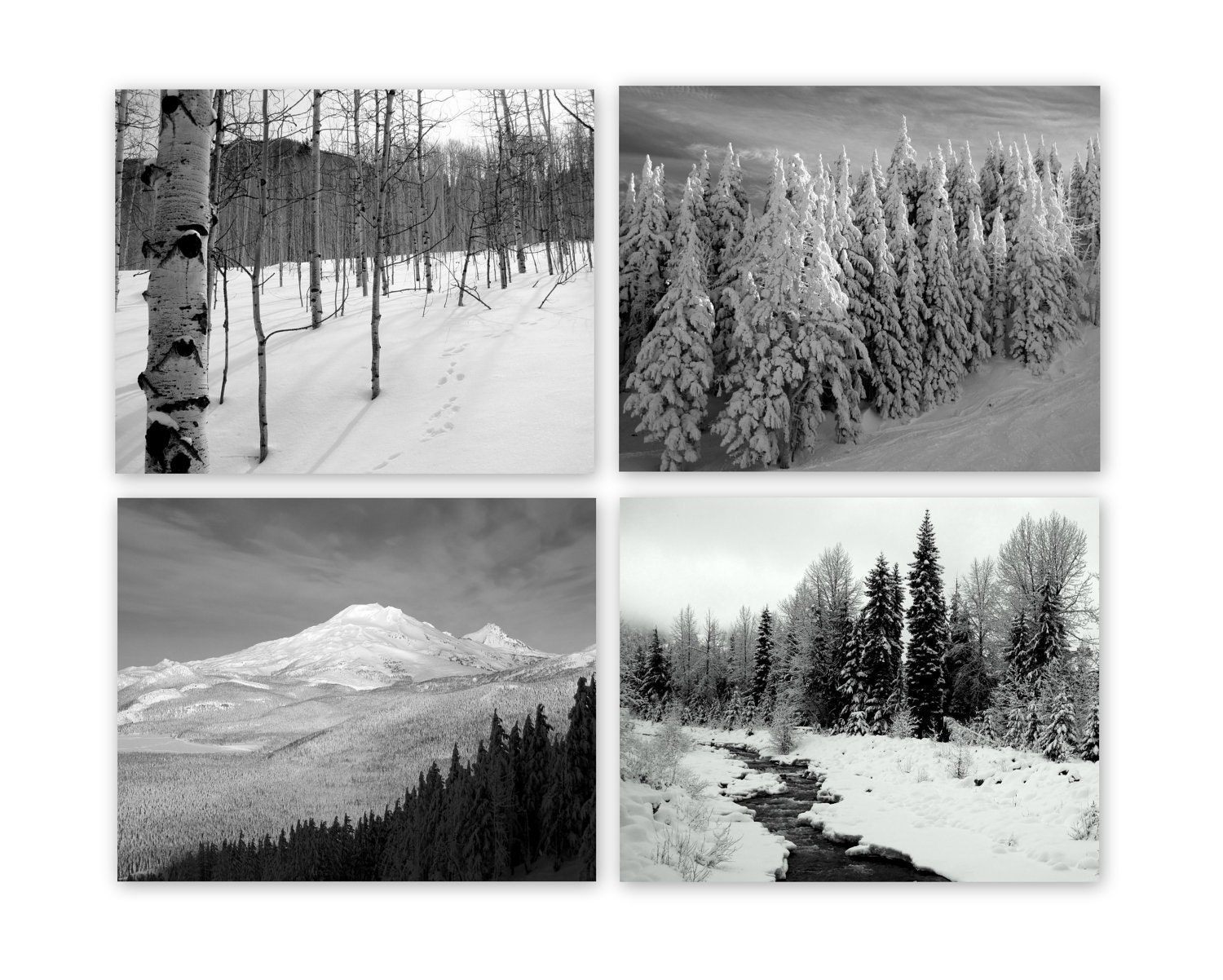 8x10 Winter Photography 4 Set of Black and White Photographs of Snow Covered Trees and Mountand