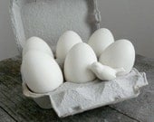 Porcelain Eggs, Easter Decor, Set of 12 with Porcelain Bird, Decorate your own